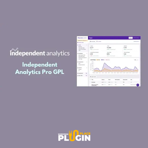 Independent Analytics Plugin