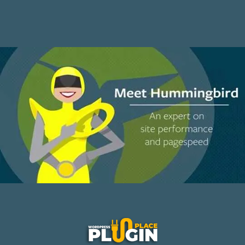 Hummingbird WP Plugin