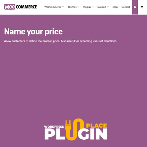 WooCommerce Name Your Price Extension