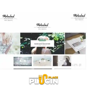 Soledad Theme WP Plugin Place v8.5.7 – Multi-Concept Blog Magazine Websites